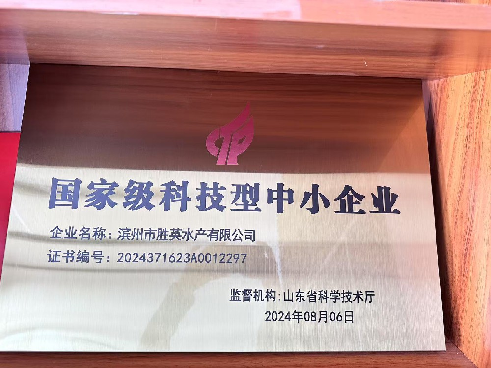 科技型中小企业